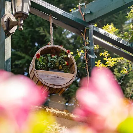 Moments A - Maisons Paladins * Soy